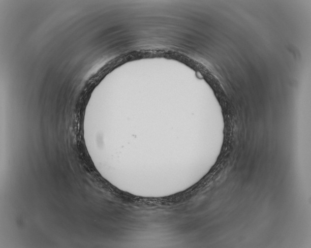 X0000114240871200911061546