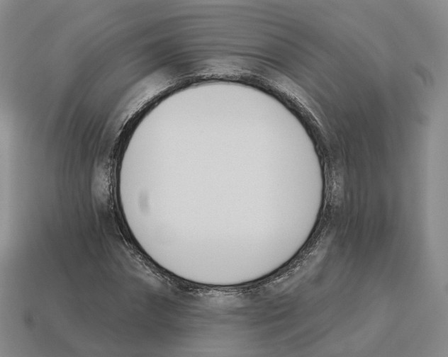 X0000114240874200911061546