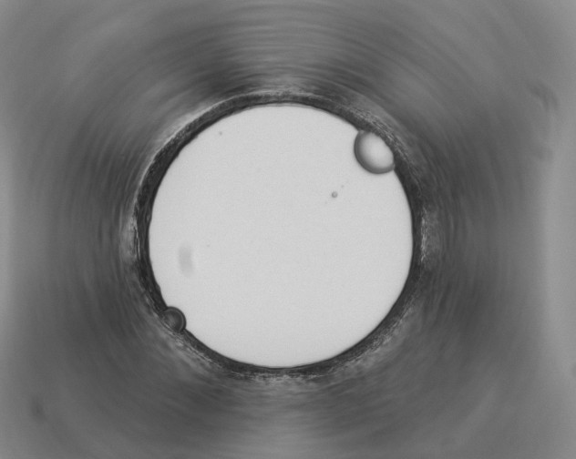 X0000114240876200911061546