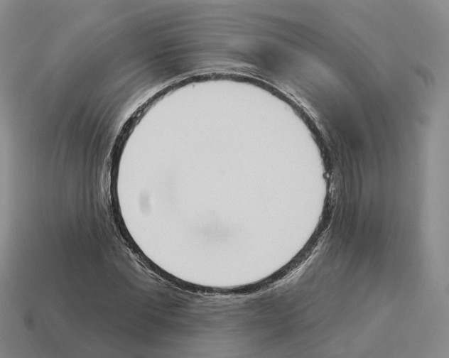 X0000114240877200911061546