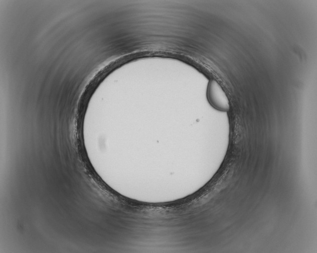 X0000114240880200911061546