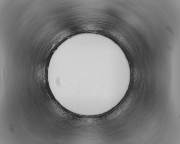 X0000114240881200911061546