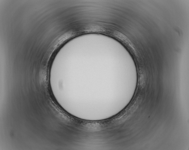 X0000114240882200911061546
