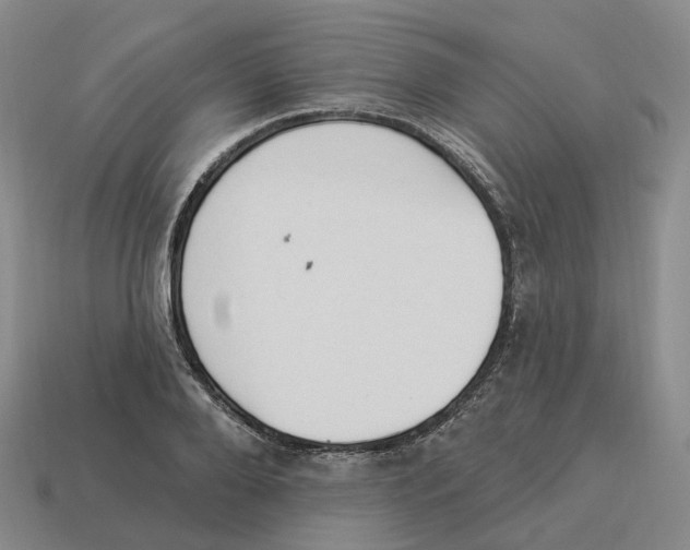 X0000114240888200911061545