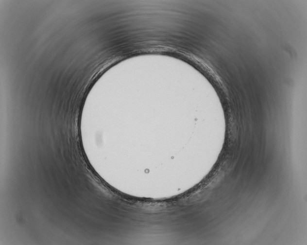 X0000114240889200911061545