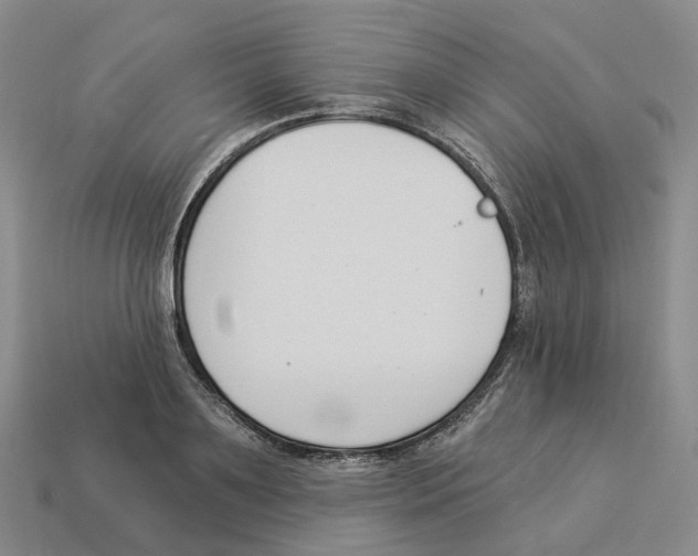 X0000114240891200911061545