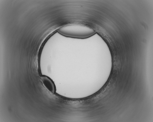 X0000114240892200911061545