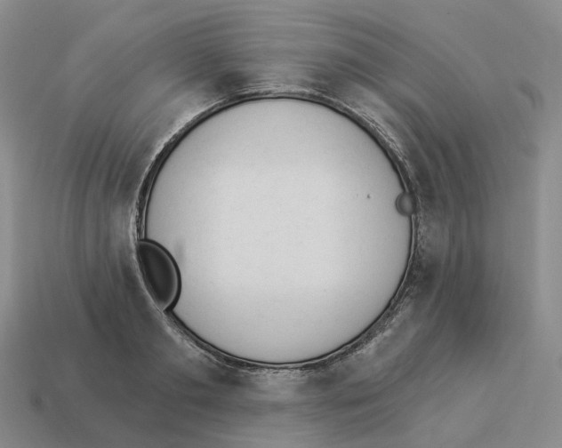 X0000114240893200911061545