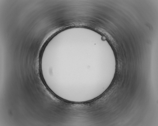 X0000114240894200911061545