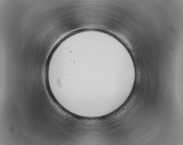 X0000114240895200911061545