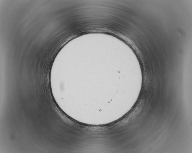X0000114240897200911061545