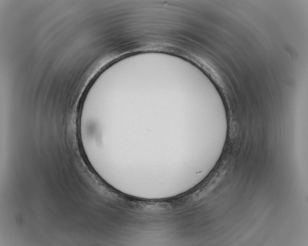 X0000114240899200911061545