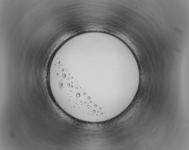 X0000114240901200911061545