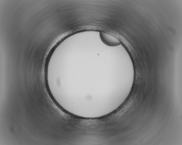 X0000114240902200911061545