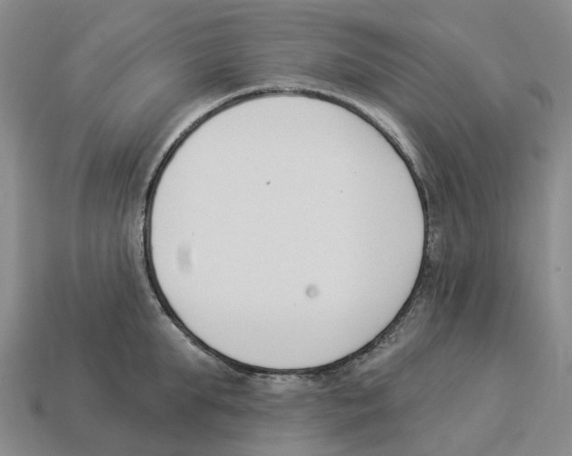 X0000114240903200911061545