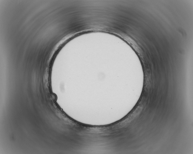 X0000114240904200911061545
