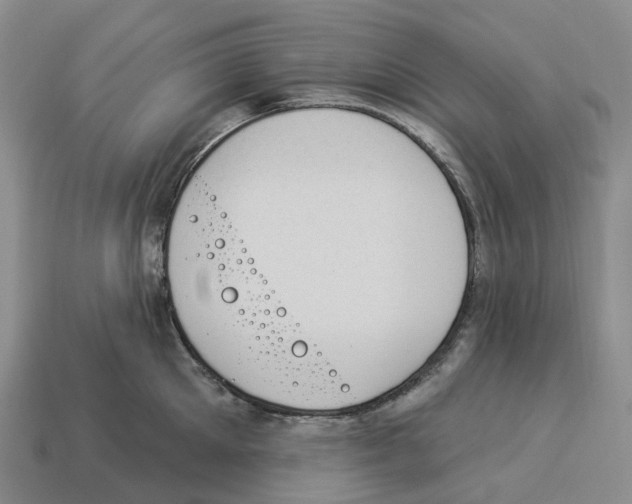 X0000114240905200911061545