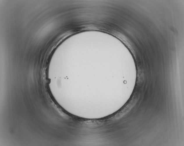 X0000114240906200911061545