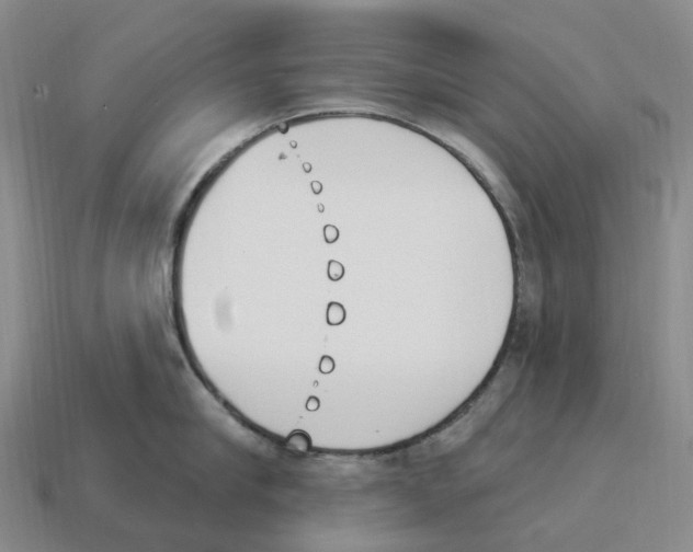 X0000114240910200911061545