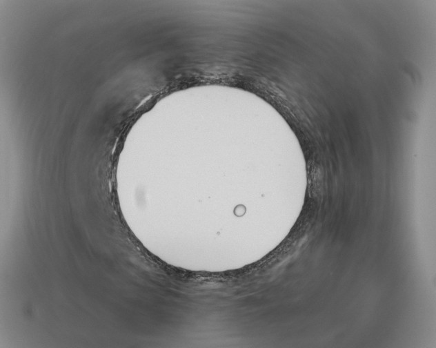 X0000114240913200911061545