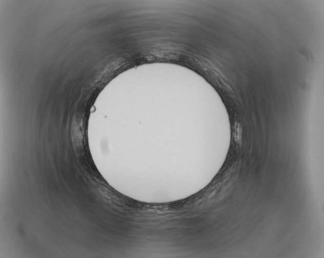 X0000114240915200911061545