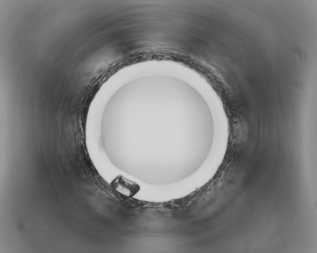 X0000114240918200911061545