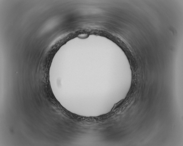 X0000114240919200911061545