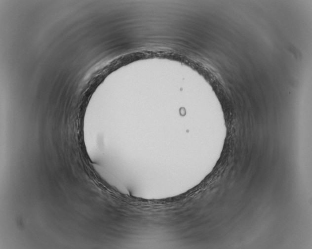 X0000114240920200911061545