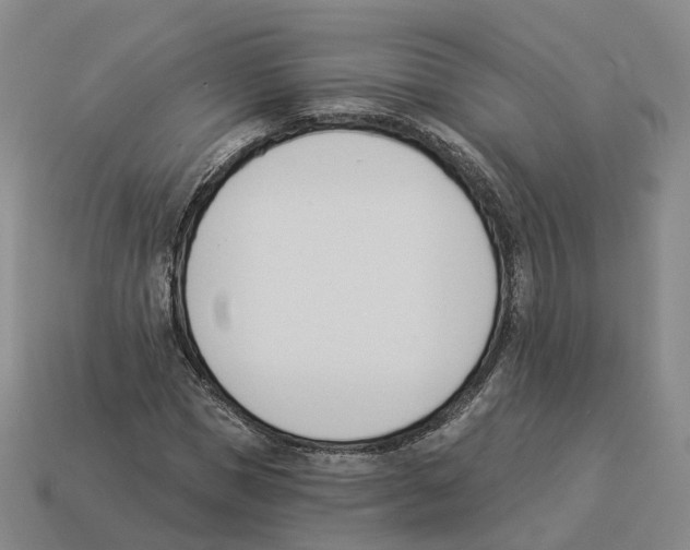 X0000114240921200911061545