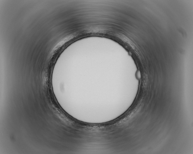 X0000114240922200911061545
