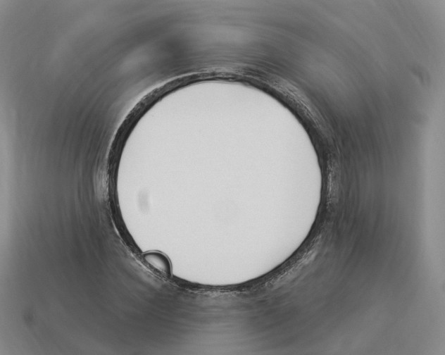 X0000114240924200911061545