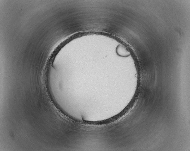 X0000114240925200911061545