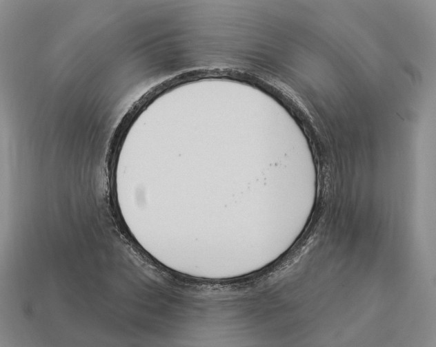 X0000114240927200911061545