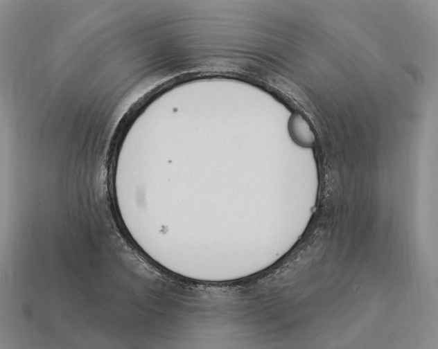 X0000114240928200911061545