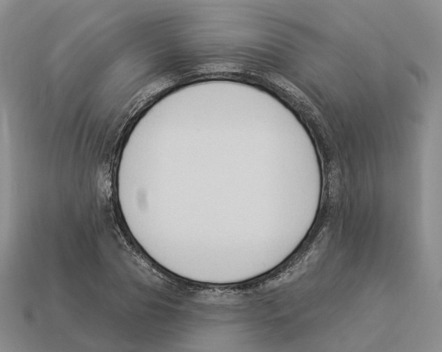 X0000114240929200911061545