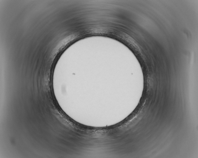 X0000114240930200911061545