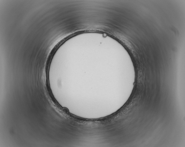 X0000114240936200911061545