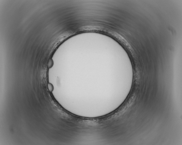X0000114240937200911061545