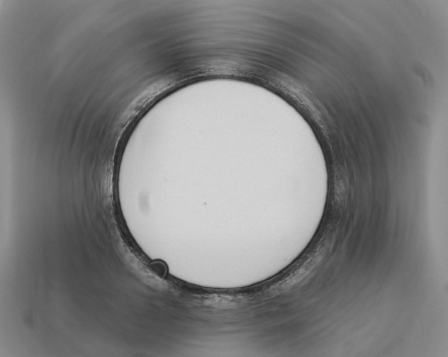 X0000114240938200911061545