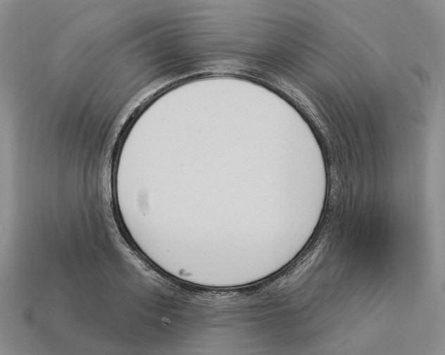 X0000114240939200911061545