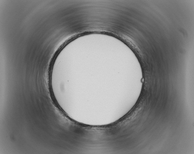 X0000114240942200911061545