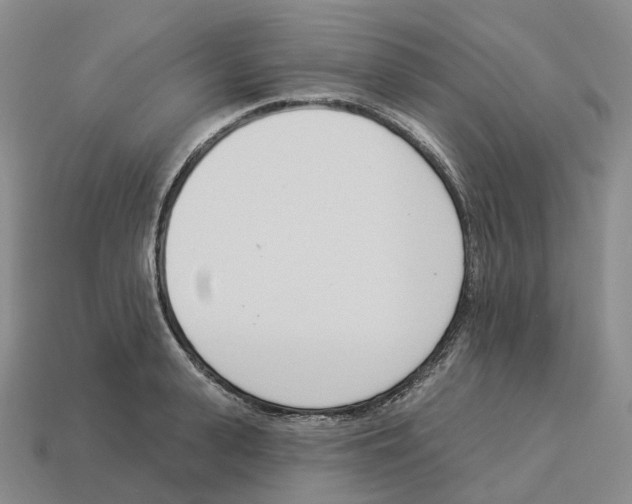 X0000114240943200911061545