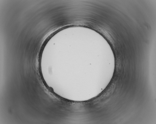X0000114240944200911061545