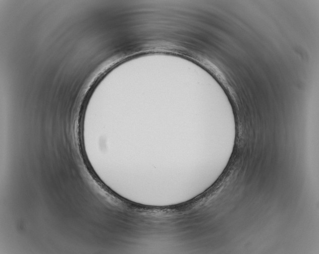 X0000114240947200911061545