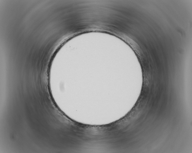 X0000114240950200911061545