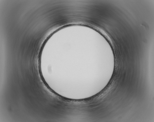 X0000114240951200911061545
