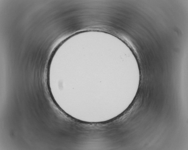 X0000114240952200911061545