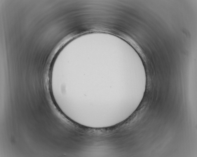 X0000114240955200911061545