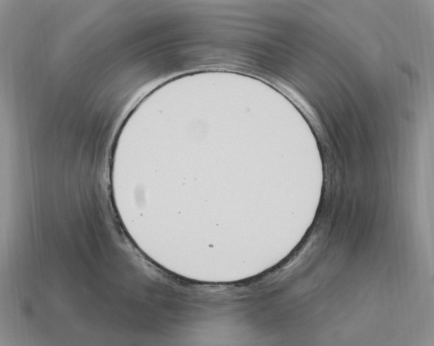 X0000114240956200911061545