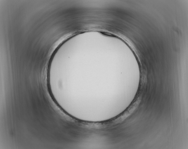 X0000114240957200911061545